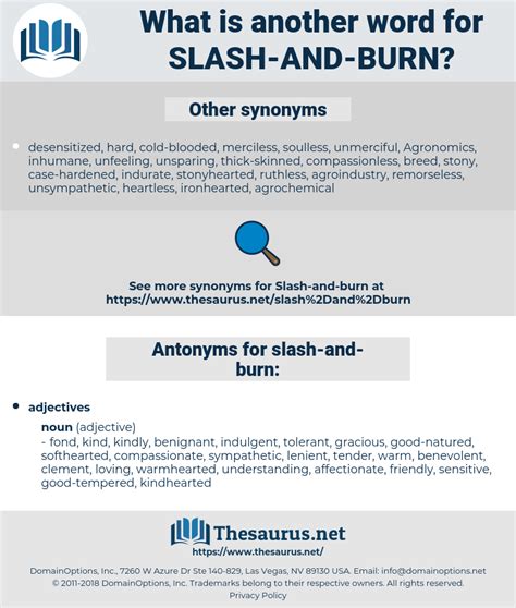 slash and burn synonym